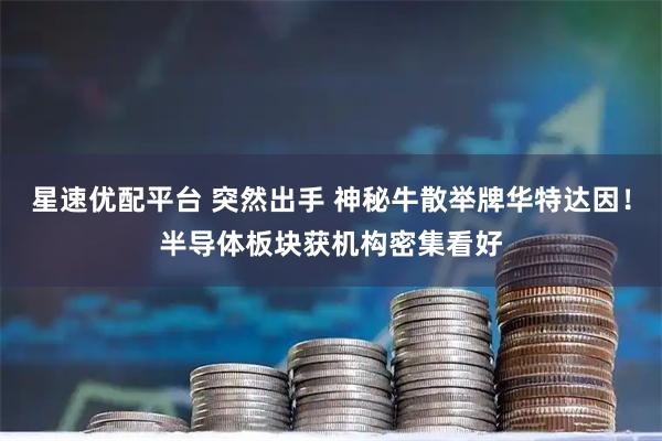 星速优配平台 突然出手 神秘牛散举牌华特达因！半导体板块获机构密集看好